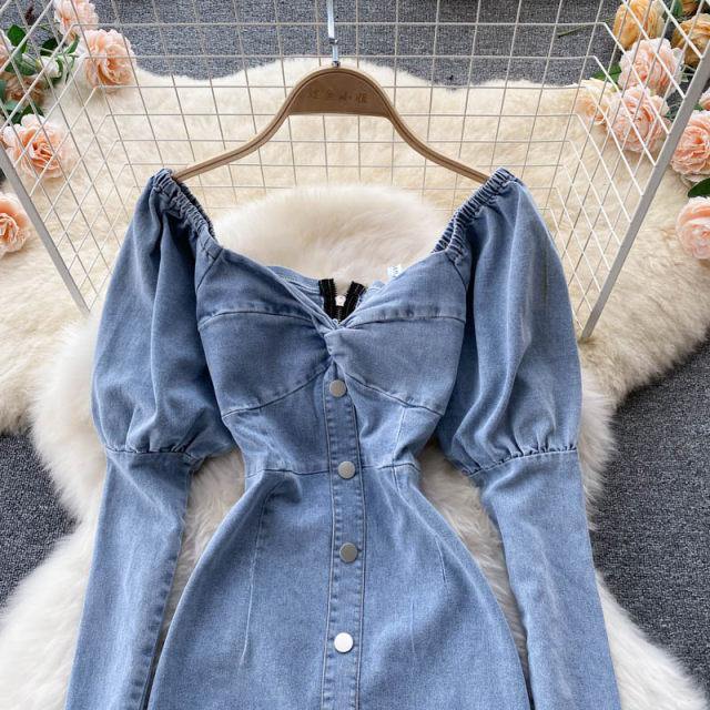 Philip Denim Dress - Label Frenesi Fashion