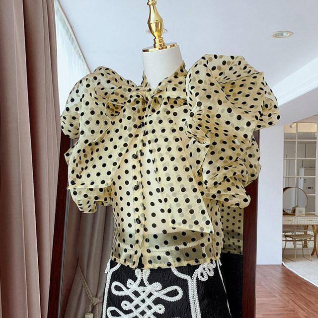 Polka Organza Top - Label Frenesi Fashion