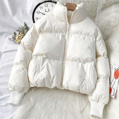 Puffer Winter Jackets - Label Frenesi Fashion