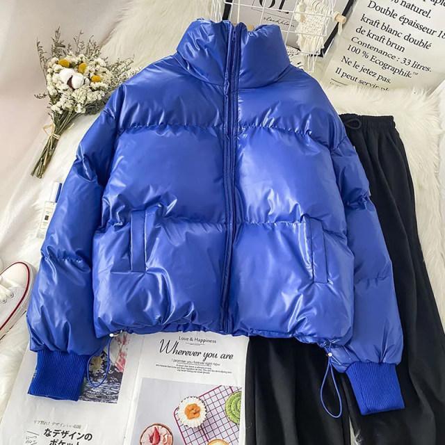 Puffer Winter Jackets - Label Frenesi Fashion